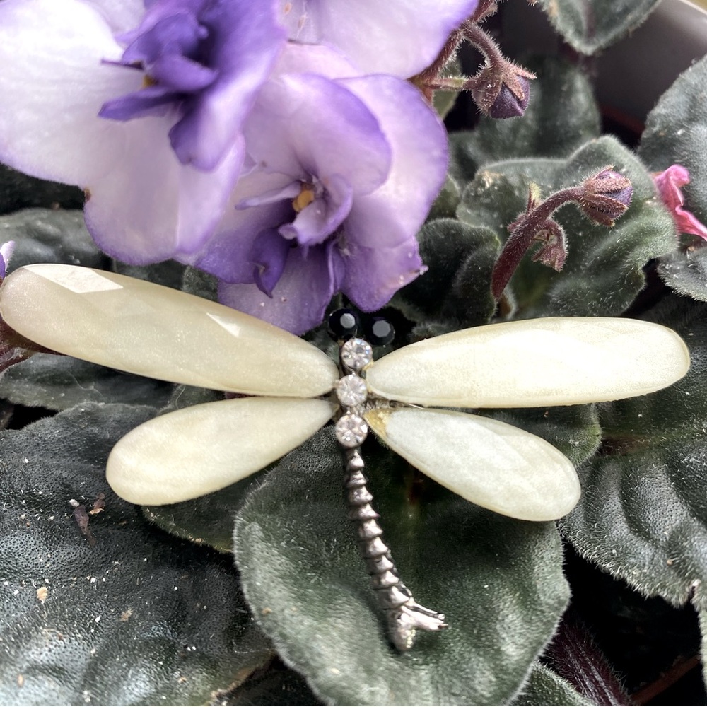Dragonfly brooch Ivory Color